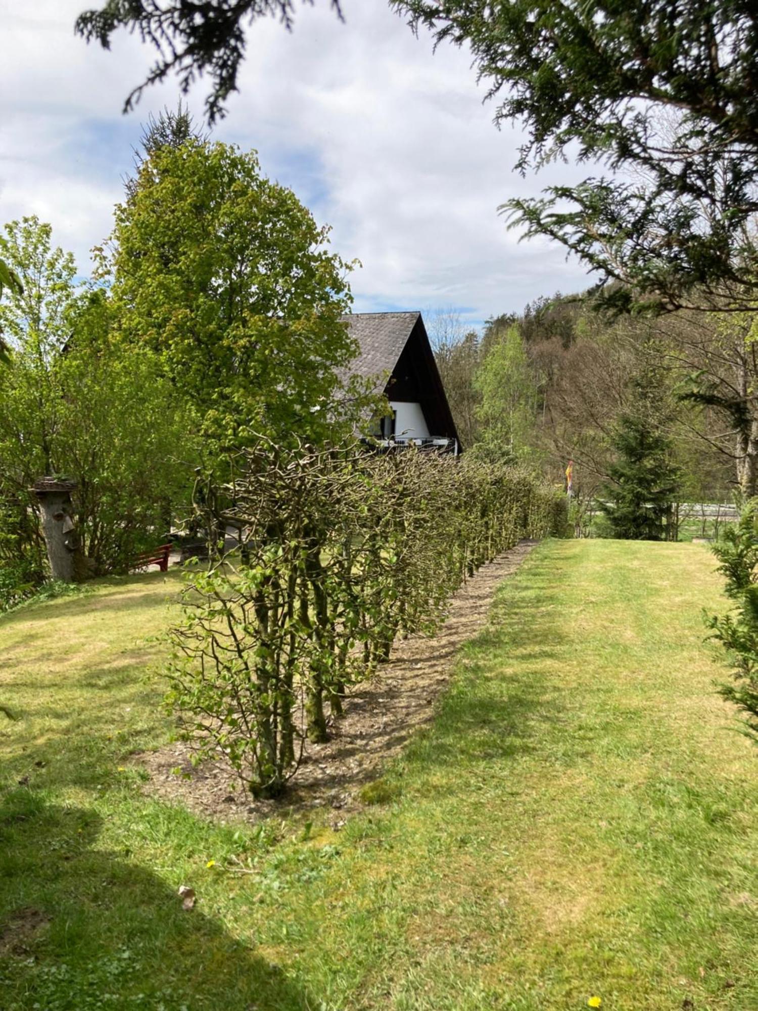 Gasthof Walhalja Schmallenberg Exteriör bild
