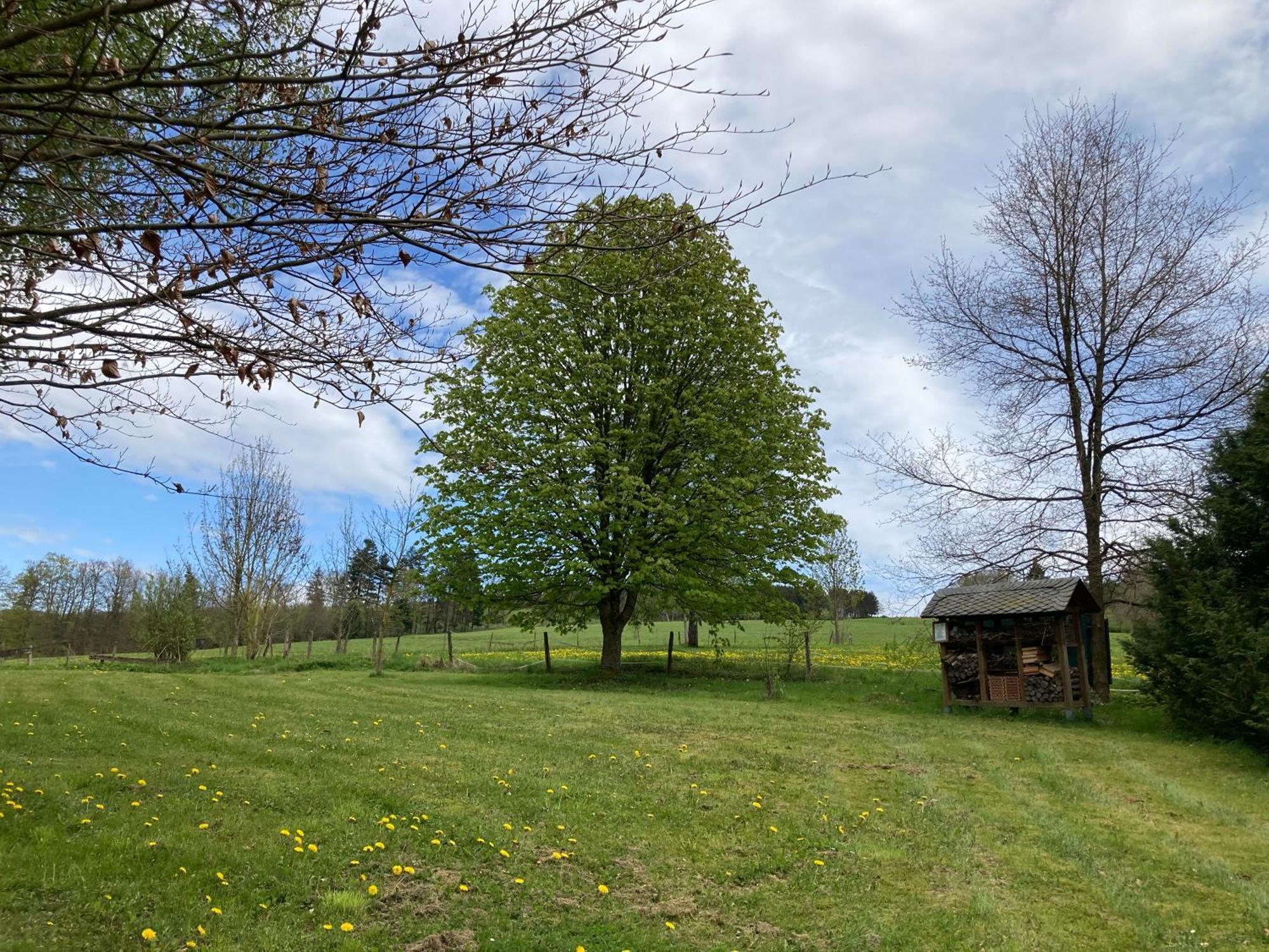 Gasthof Walhalja Schmallenberg Exteriör bild